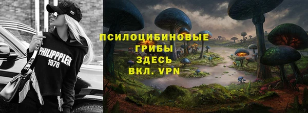 прущая мука Алзамай
