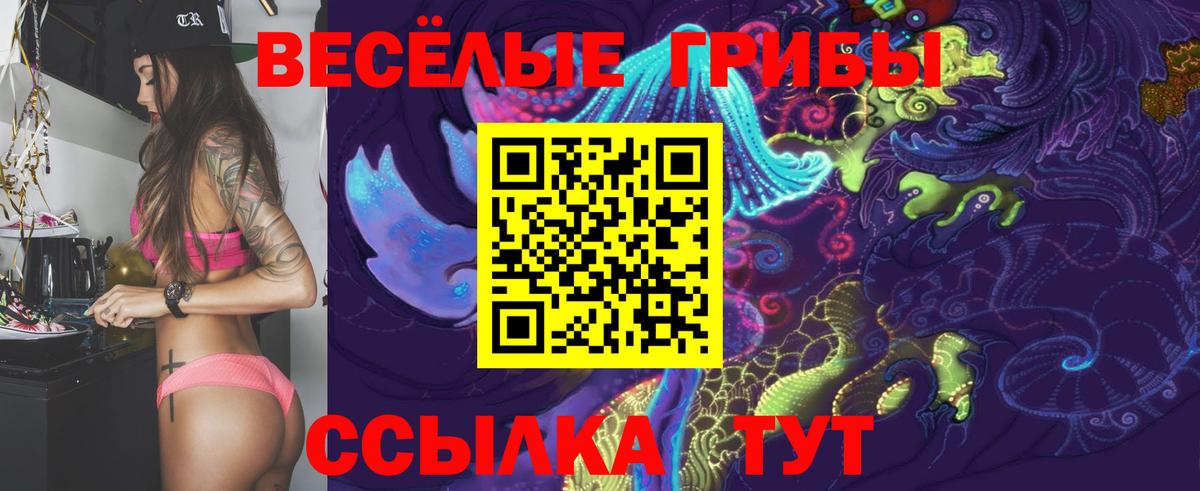 Псилоцибиновые грибы ЛСД Тара