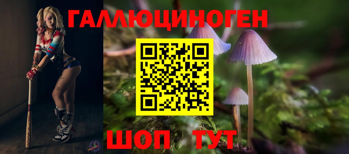 Галлюциногенные грибы MAGIC MUSHROOMS  Вход с VPN  Тара 